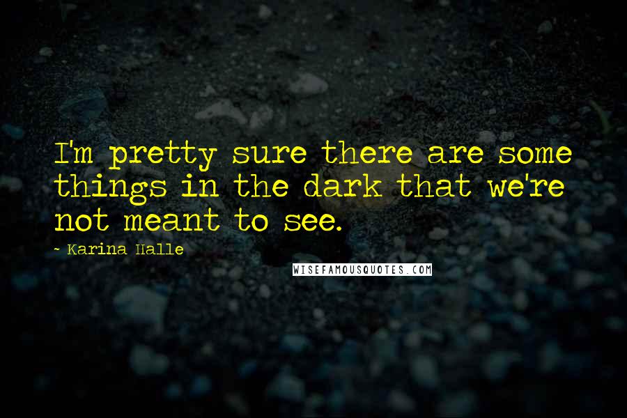 Karina Halle Quotes: I'm pretty sure there are some things in the dark that we're not meant to see.