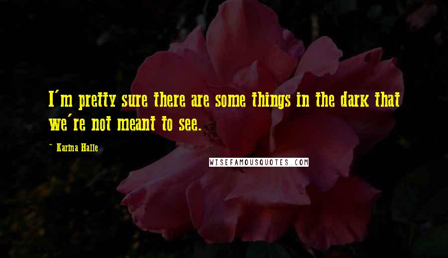 Karina Halle Quotes: I'm pretty sure there are some things in the dark that we're not meant to see.
