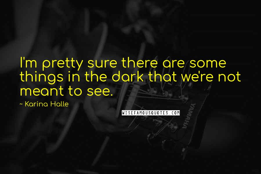 Karina Halle Quotes: I'm pretty sure there are some things in the dark that we're not meant to see.