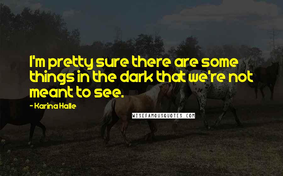 Karina Halle Quotes: I'm pretty sure there are some things in the dark that we're not meant to see.