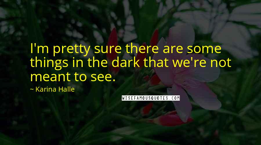 Karina Halle Quotes: I'm pretty sure there are some things in the dark that we're not meant to see.