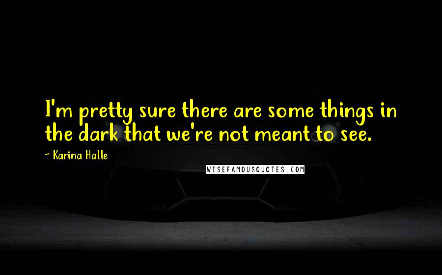 Karina Halle Quotes: I'm pretty sure there are some things in the dark that we're not meant to see.