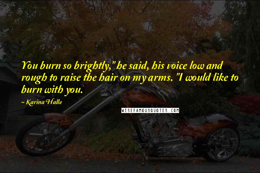 Karina Halle Quotes: You burn so brightly," he said, his voice low and rough to raise the hair on my arms. "I would like to burn with you.