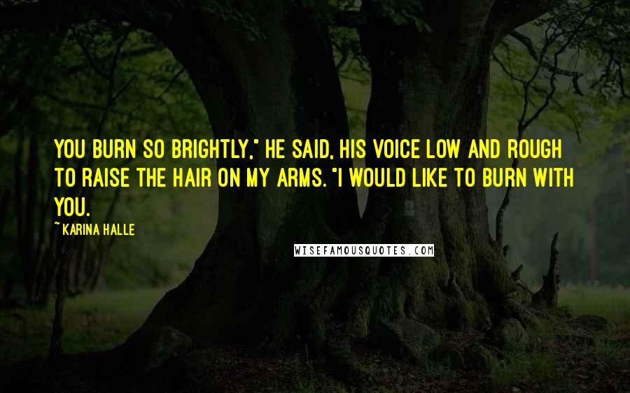 Karina Halle Quotes: You burn so brightly," he said, his voice low and rough to raise the hair on my arms. "I would like to burn with you.