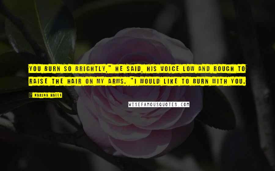 Karina Halle Quotes: You burn so brightly," he said, his voice low and rough to raise the hair on my arms. "I would like to burn with you.