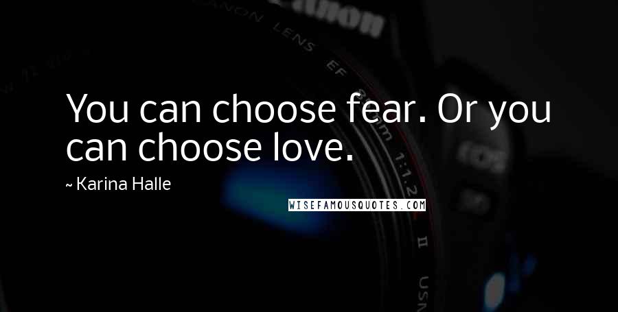 Karina Halle Quotes: You can choose fear. Or you can choose love.
