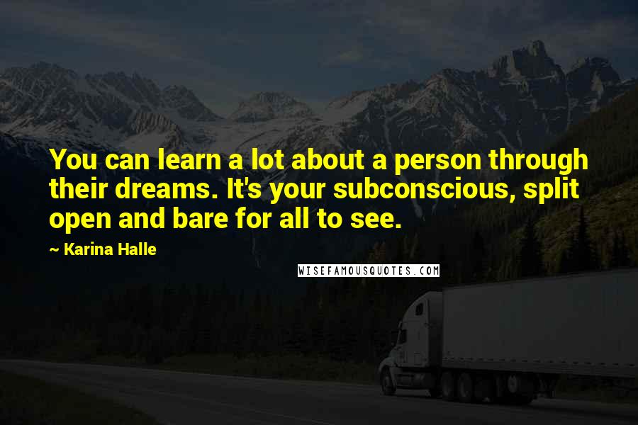 Karina Halle Quotes: You can learn a lot about a person through their dreams. It's your subconscious, split open and bare for all to see.