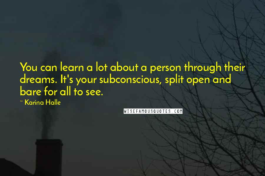 Karina Halle Quotes: You can learn a lot about a person through their dreams. It's your subconscious, split open and bare for all to see.