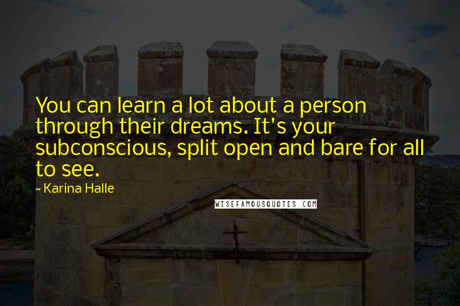 Karina Halle Quotes: You can learn a lot about a person through their dreams. It's your subconscious, split open and bare for all to see.