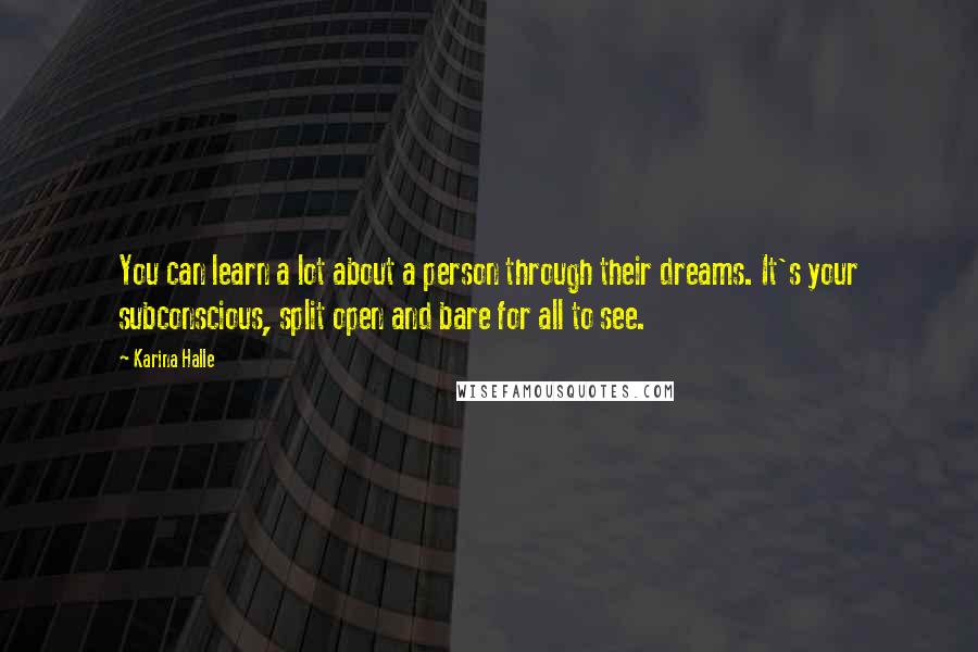 Karina Halle Quotes: You can learn a lot about a person through their dreams. It's your subconscious, split open and bare for all to see.