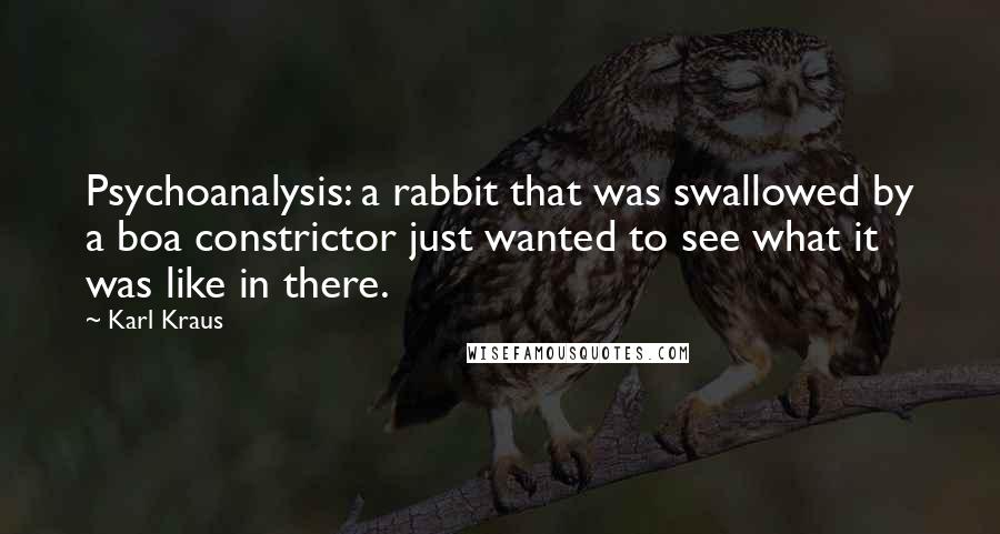 Karl Kraus Quotes: Psychoanalysis: a rabbit that was swallowed by a boa constrictor just wanted to see what it was like in there.