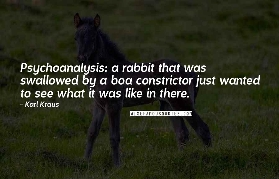 Karl Kraus Quotes: Psychoanalysis: a rabbit that was swallowed by a boa constrictor just wanted to see what it was like in there.