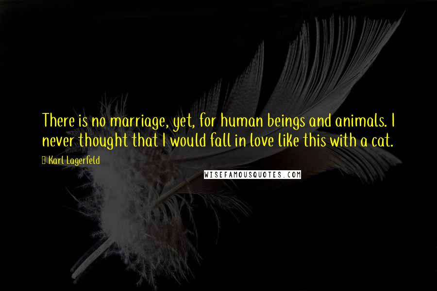 Karl Lagerfeld Quotes: There is no marriage, yet, for human beings and animals. I never thought that I would fall in love like this with a cat.