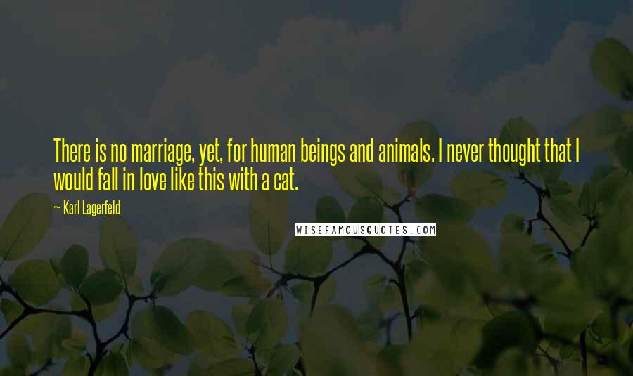 Karl Lagerfeld Quotes: There is no marriage, yet, for human beings and animals. I never thought that I would fall in love like this with a cat.