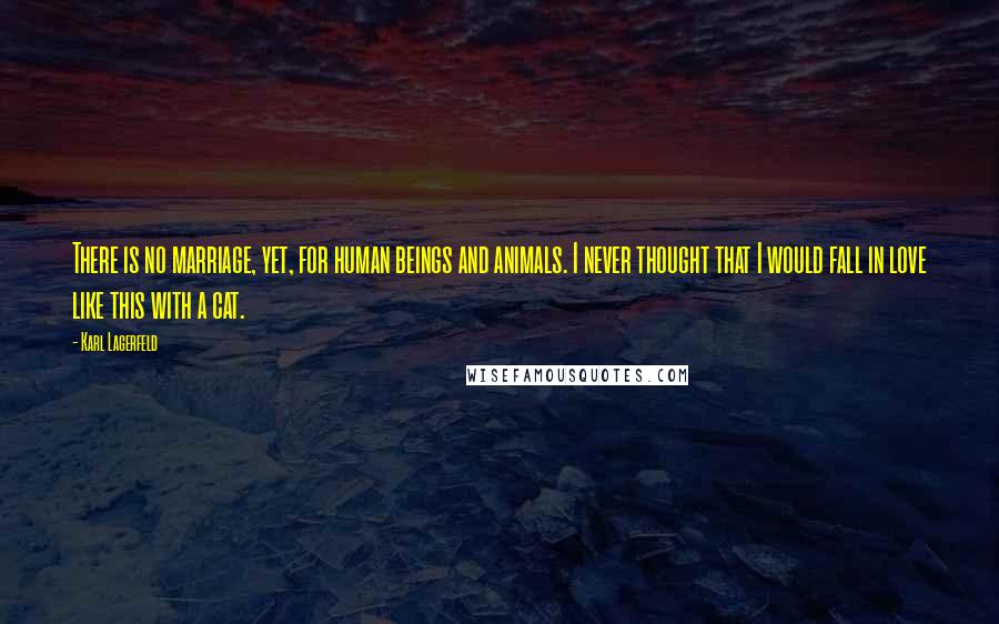 Karl Lagerfeld Quotes: There is no marriage, yet, for human beings and animals. I never thought that I would fall in love like this with a cat.