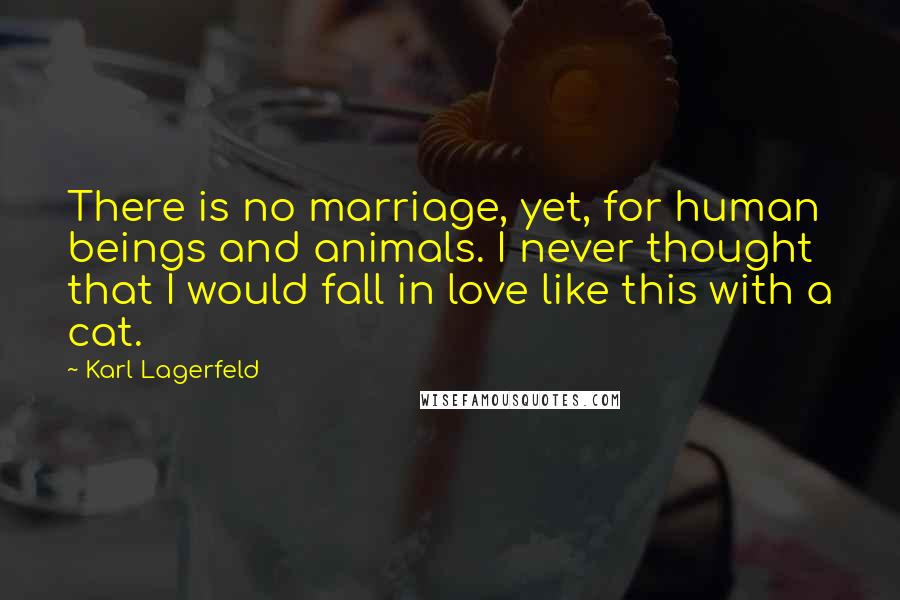 Karl Lagerfeld Quotes: There is no marriage, yet, for human beings and animals. I never thought that I would fall in love like this with a cat.