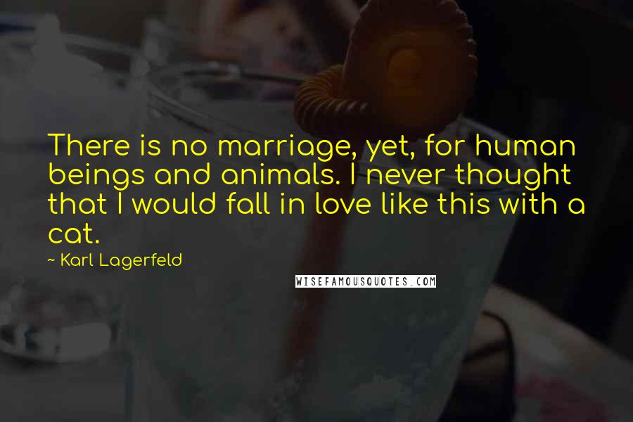 Karl Lagerfeld Quotes: There is no marriage, yet, for human beings and animals. I never thought that I would fall in love like this with a cat.