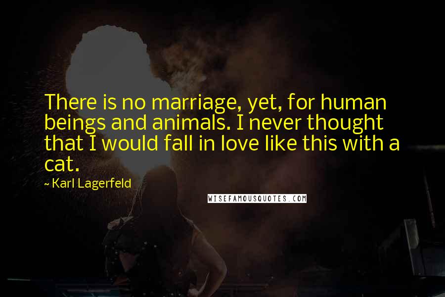 Karl Lagerfeld Quotes: There is no marriage, yet, for human beings and animals. I never thought that I would fall in love like this with a cat.