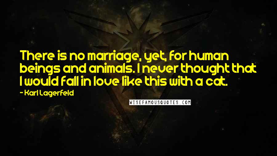 Karl Lagerfeld Quotes: There is no marriage, yet, for human beings and animals. I never thought that I would fall in love like this with a cat.