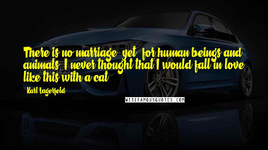 Karl Lagerfeld Quotes: There is no marriage, yet, for human beings and animals. I never thought that I would fall in love like this with a cat.