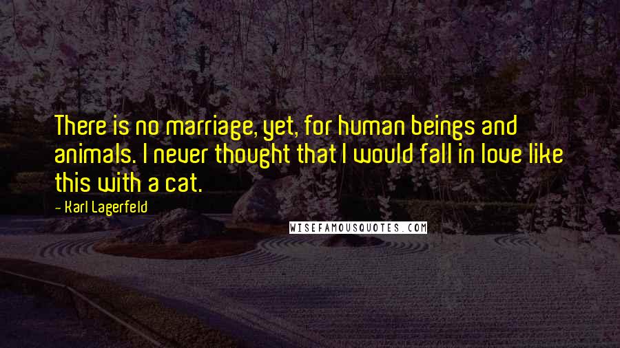 Karl Lagerfeld Quotes: There is no marriage, yet, for human beings and animals. I never thought that I would fall in love like this with a cat.