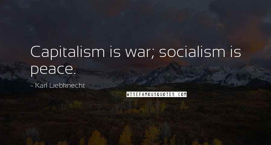 Karl Liebknecht Quotes: Capitalism is war; socialism is peace.