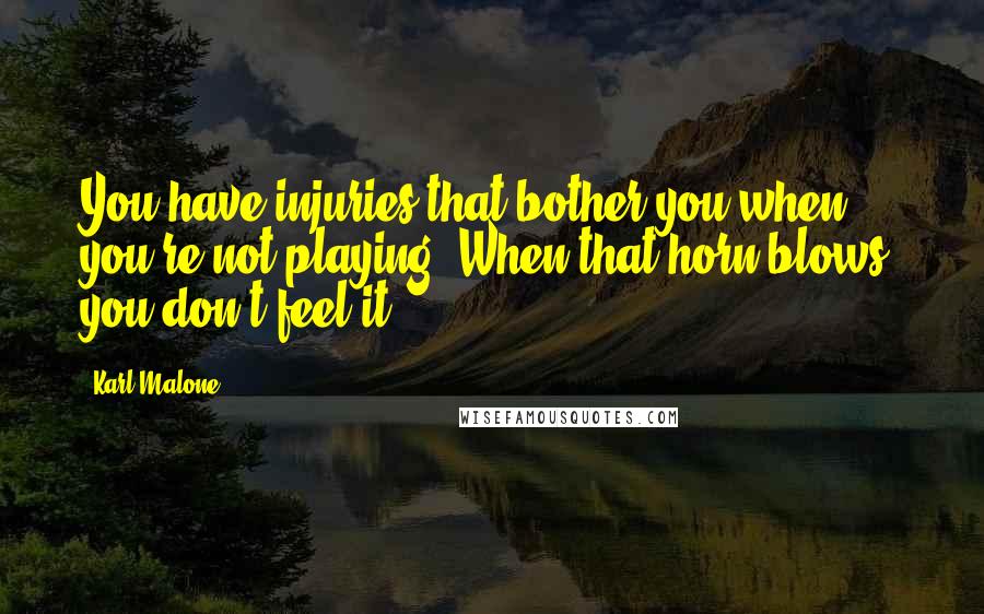 Karl Malone Quotes: You have injuries that bother you when you're not playing. When that horn blows, you don't feel it.