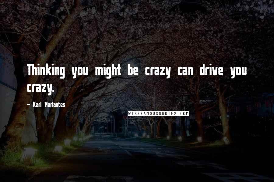 Karl Marlantes Quotes: Thinking you might be crazy can drive you crazy.