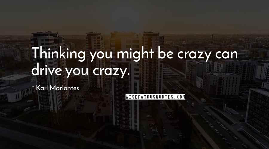 Karl Marlantes Quotes: Thinking you might be crazy can drive you crazy.