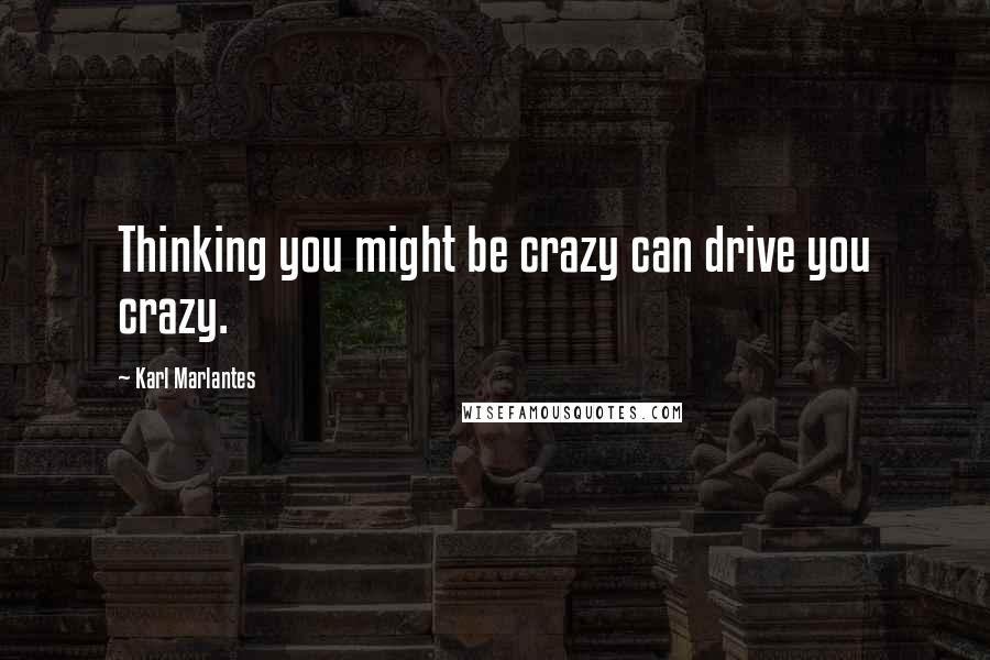 Karl Marlantes Quotes: Thinking you might be crazy can drive you crazy.