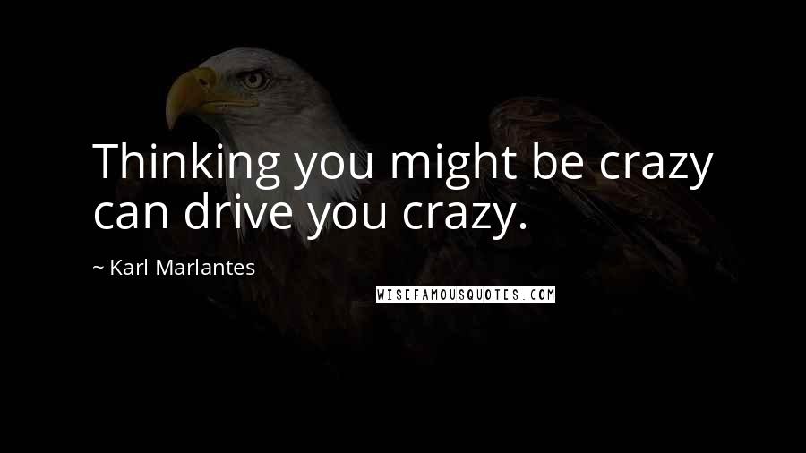 Karl Marlantes Quotes: Thinking you might be crazy can drive you crazy.