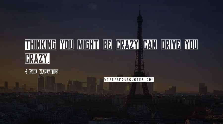 Karl Marlantes Quotes: Thinking you might be crazy can drive you crazy.