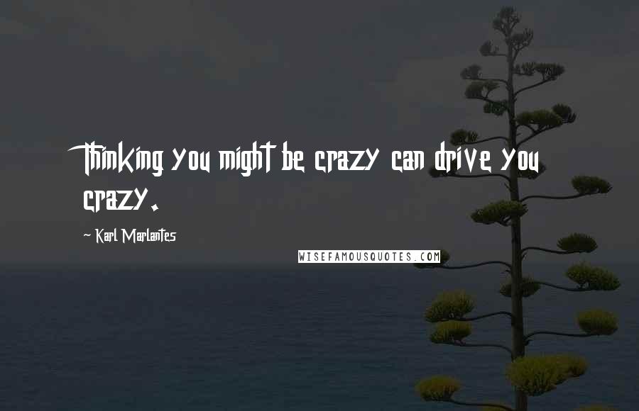 Karl Marlantes Quotes: Thinking you might be crazy can drive you crazy.