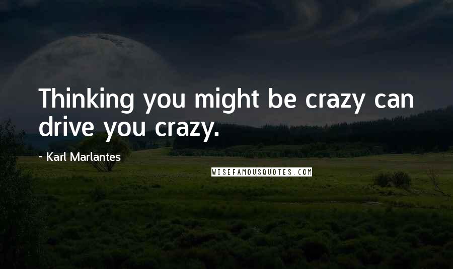 Karl Marlantes Quotes: Thinking you might be crazy can drive you crazy.