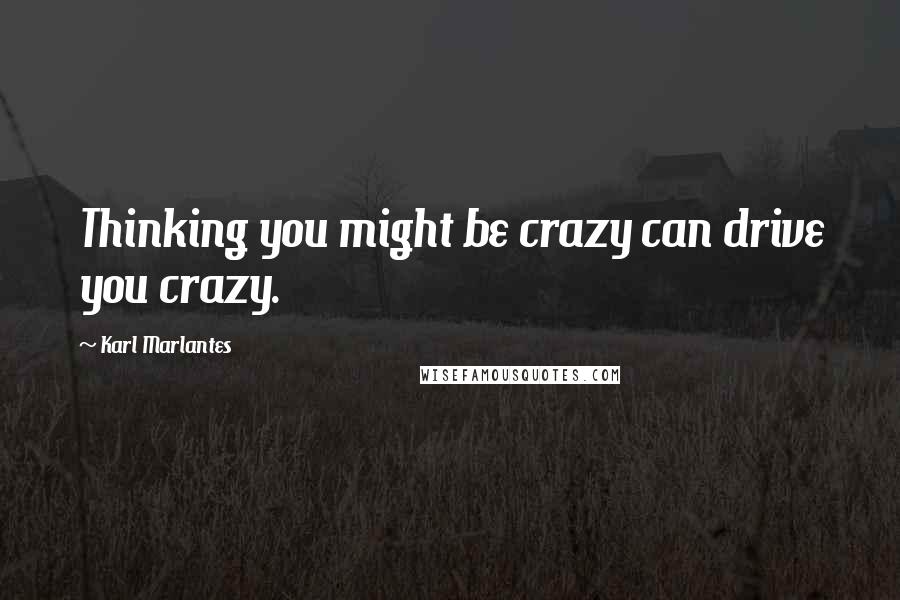 Karl Marlantes Quotes: Thinking you might be crazy can drive you crazy.