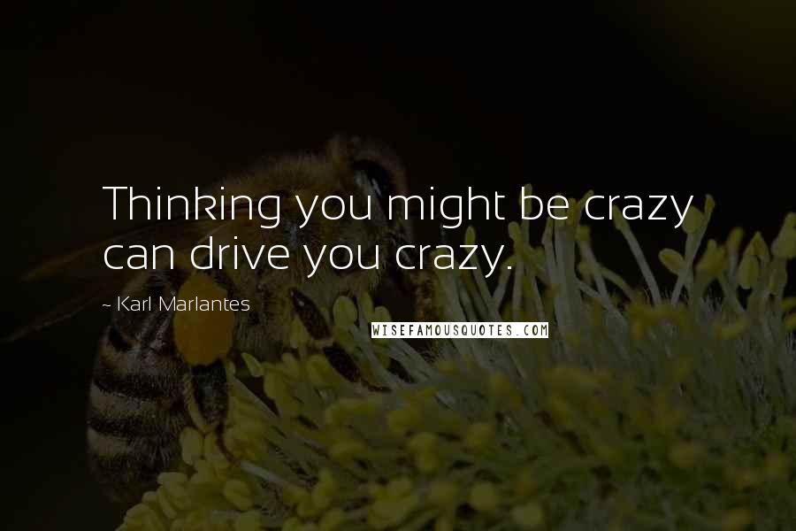 Karl Marlantes Quotes: Thinking you might be crazy can drive you crazy.