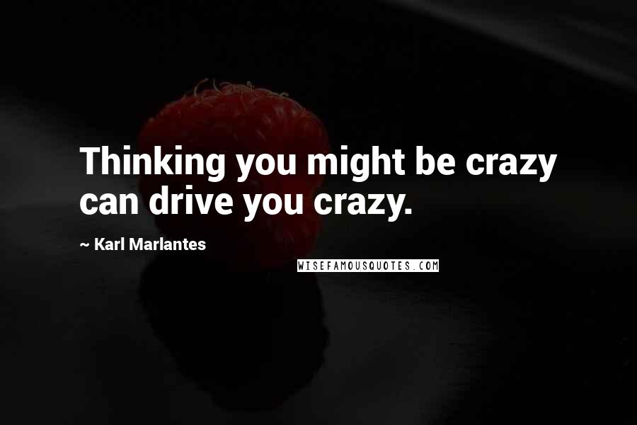 Karl Marlantes Quotes: Thinking you might be crazy can drive you crazy.