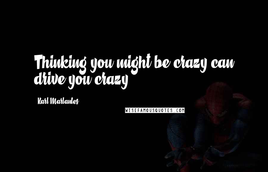 Karl Marlantes Quotes: Thinking you might be crazy can drive you crazy.