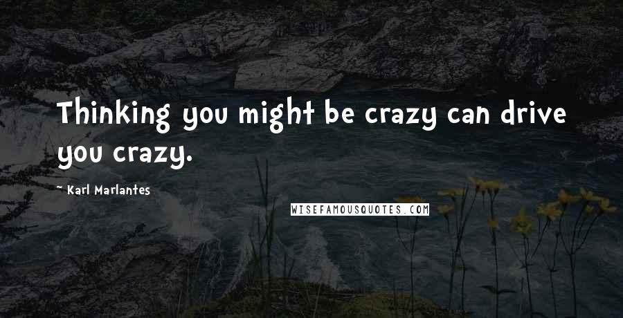 Karl Marlantes Quotes: Thinking you might be crazy can drive you crazy.