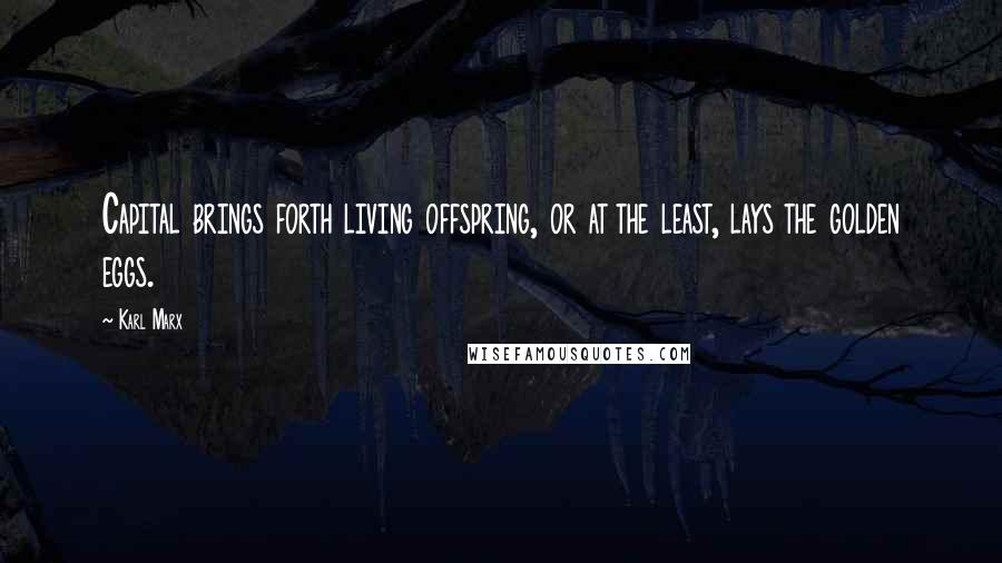 Karl Marx Quotes: Capital brings forth living offspring, or at the least, lays the golden eggs.