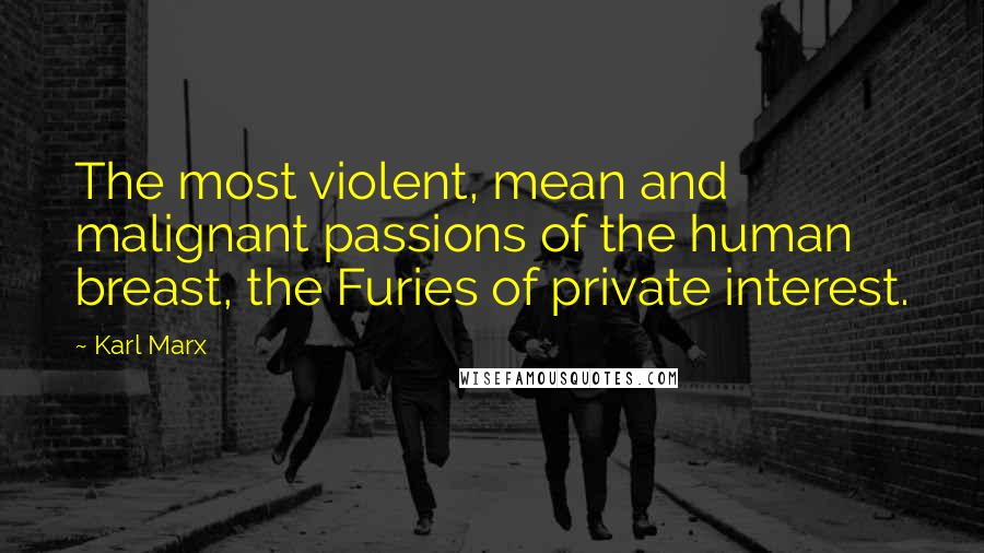 Karl Marx Quotes: The most violent, mean and malignant passions of the human breast, the Furies of private interest.