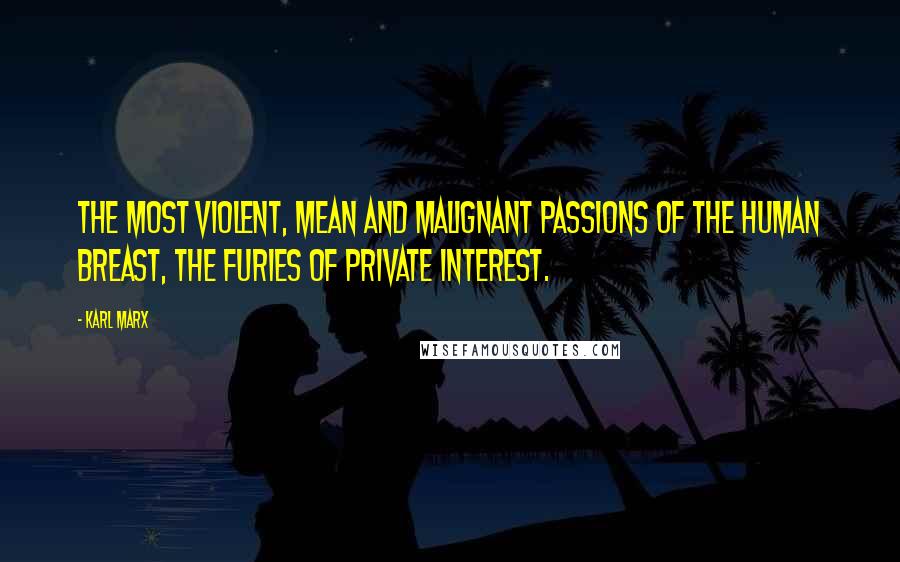 Karl Marx Quotes: The most violent, mean and malignant passions of the human breast, the Furies of private interest.