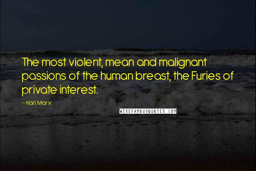 Karl Marx Quotes: The most violent, mean and malignant passions of the human breast, the Furies of private interest.