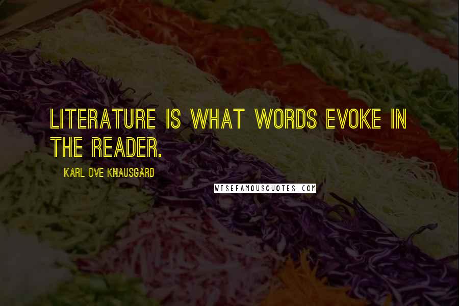 Karl Ove Knausgard Quotes: Literature is what words evoke in the reader.