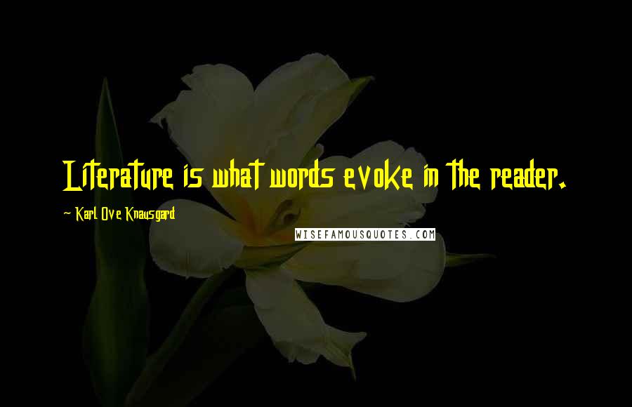 Karl Ove Knausgard Quotes: Literature is what words evoke in the reader.