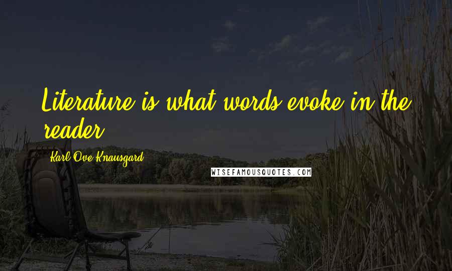 Karl Ove Knausgard Quotes: Literature is what words evoke in the reader.