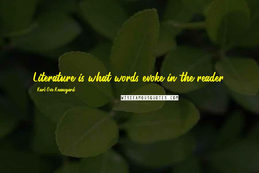 Karl Ove Knausgard Quotes: Literature is what words evoke in the reader.