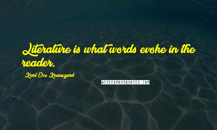 Karl Ove Knausgard Quotes: Literature is what words evoke in the reader.