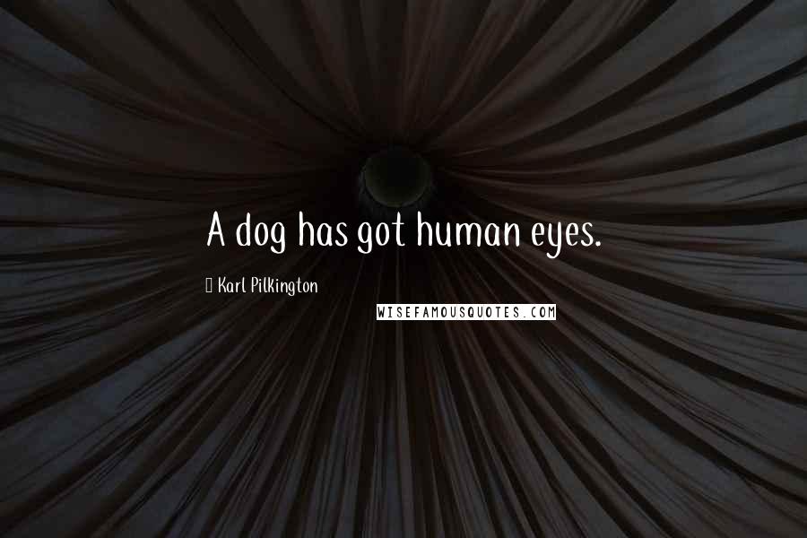 Karl Pilkington Quotes: A dog has got human eyes.