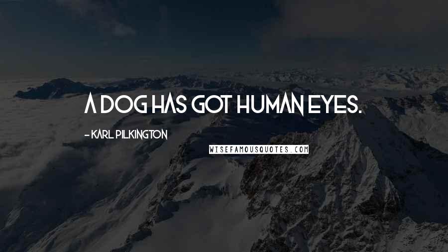 Karl Pilkington Quotes: A dog has got human eyes.